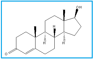 TESTOSTERONE IMPURITY A